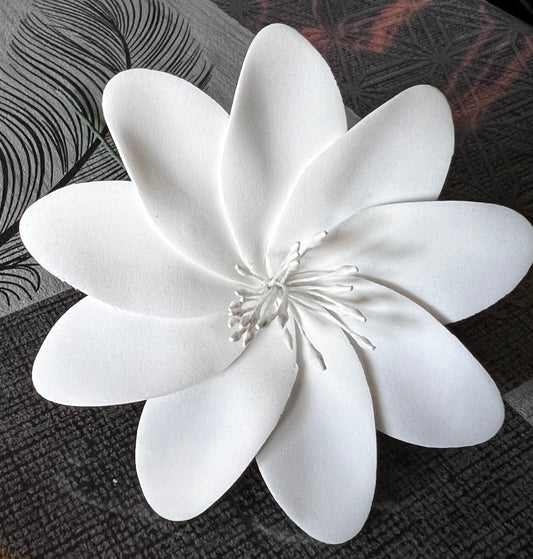 Fleur de tiaré à 10 pétales