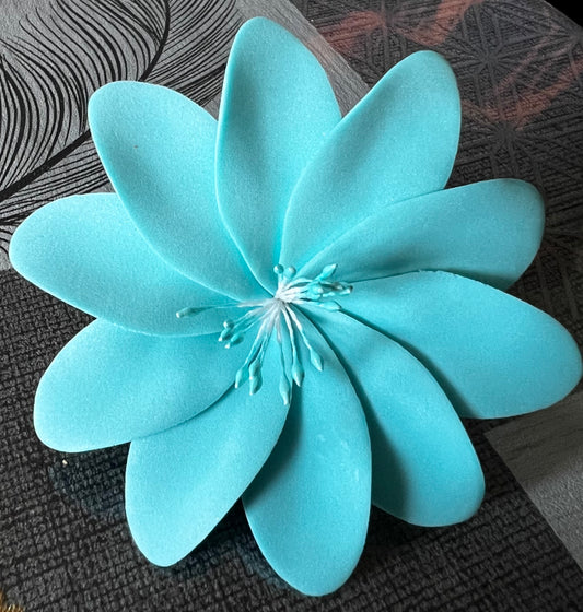 Fleur unie à 10 pétales
