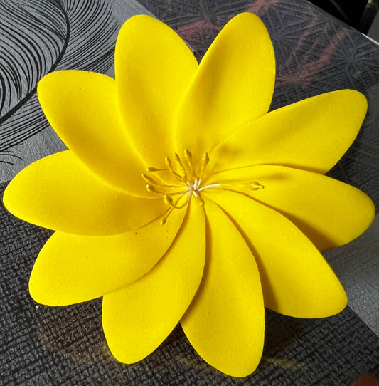 Fleur unie  à 10 pétales