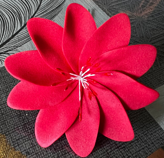 Fleur unie à  10 pétales